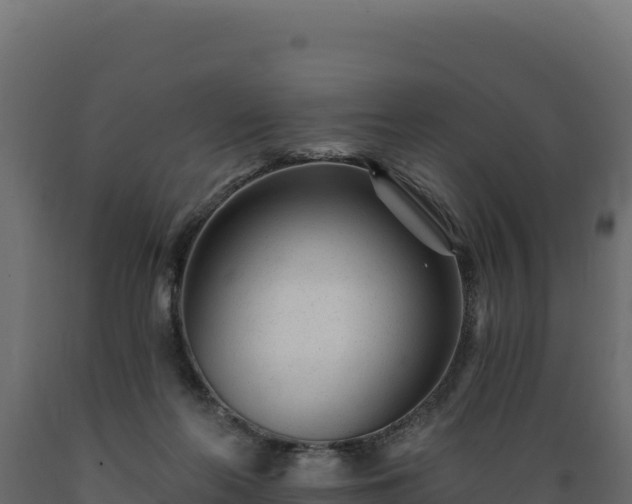 X0000089940214200707061107