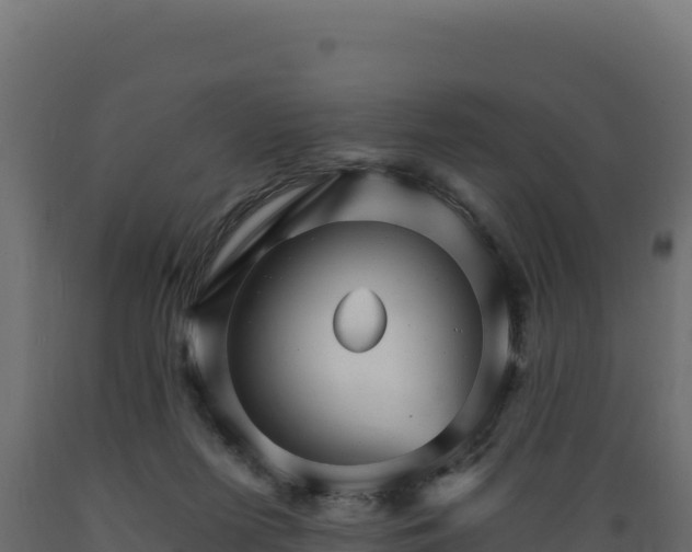 X0000089940215200707061107