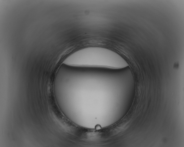 X0000089940216200707061107