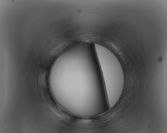 X0000089940217200707061107