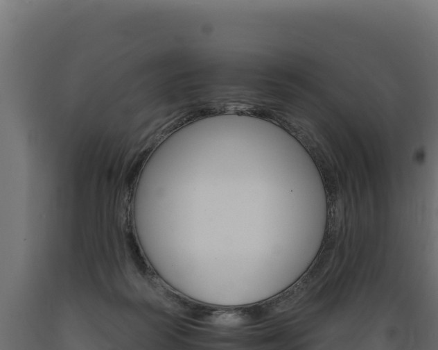 X0000089940218200707061107