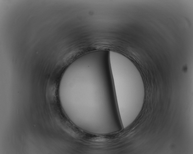 X0000089940219200707061107