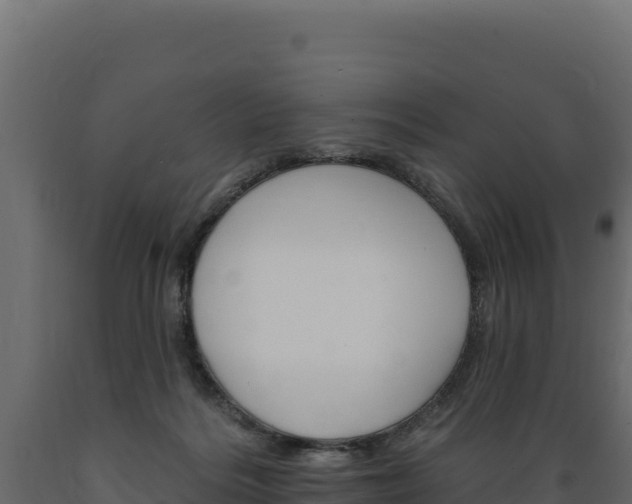 X0000089940220200707061107