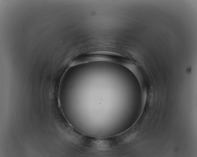 X0000089940221200707061107