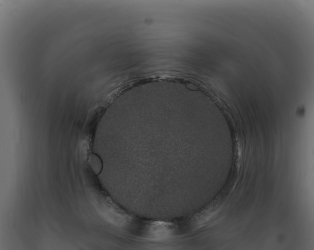 X0000089940222200707061107