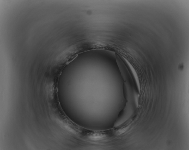 X0000089940223200707061107