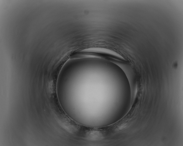 X0000089940224200707061107