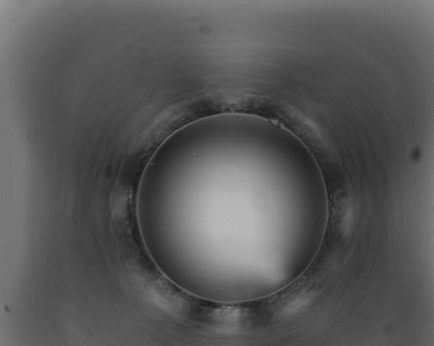 X0000089940225200707061107