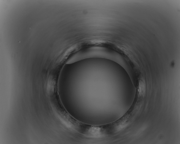 X0000089940227200707061106