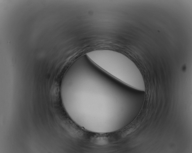 X0000089940228200707061106