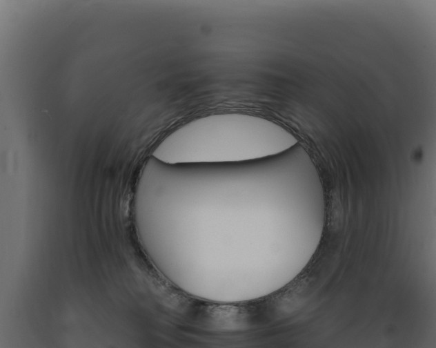 X0000089940230200707061106