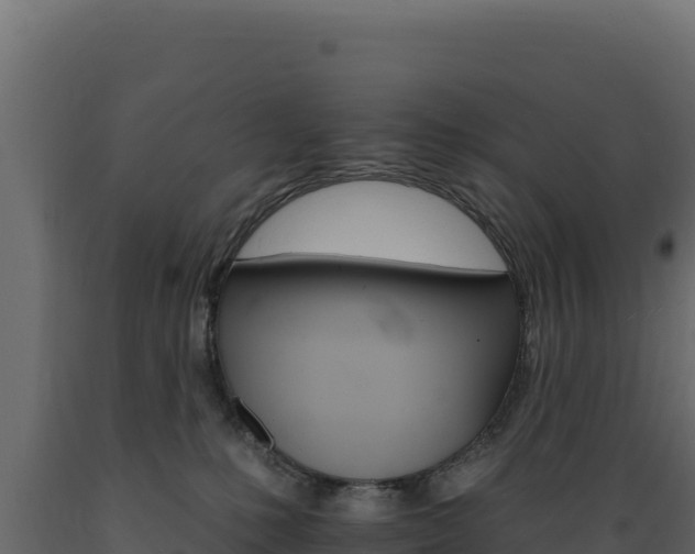 X0000089940231200707061106