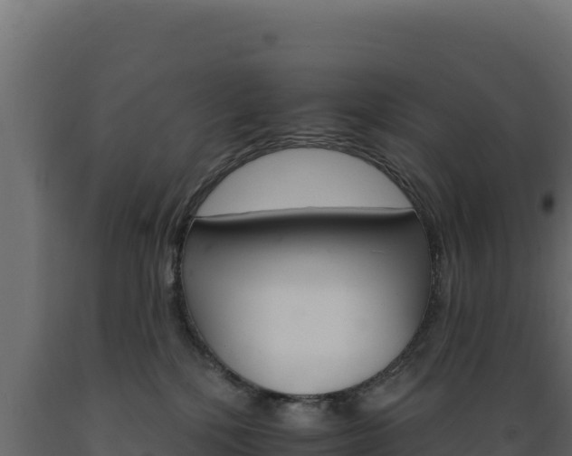 X0000089940232200707061106