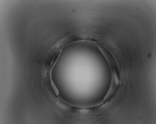 X0000089940233200707061106