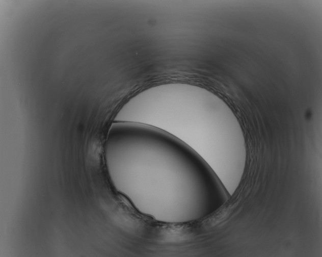 X0000089940235200707061106