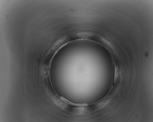 X0000089940237200707061106