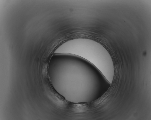 X0000089940239200707061106