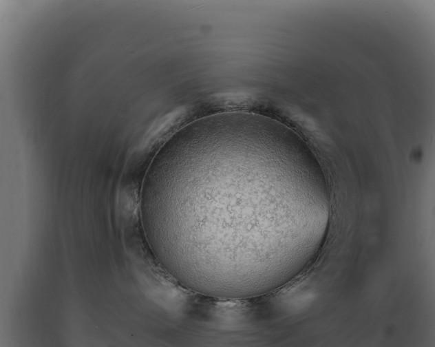 X0000089940240200707061106