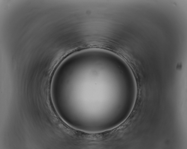 X0000089940241200707061106