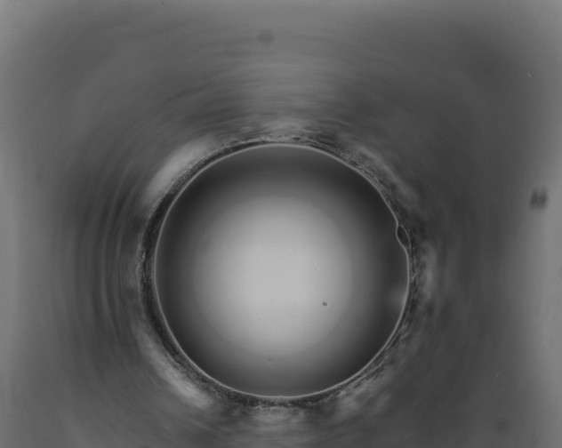 X0000089940242200707061106