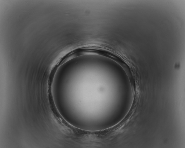 X0000089940244200707061106