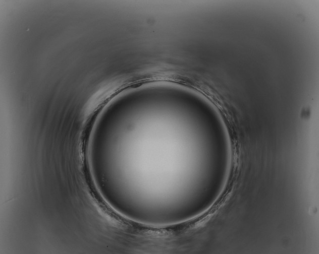 X0000089940245200707061106