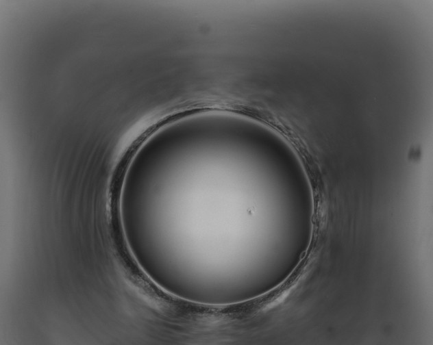 X0000089940246200707061106