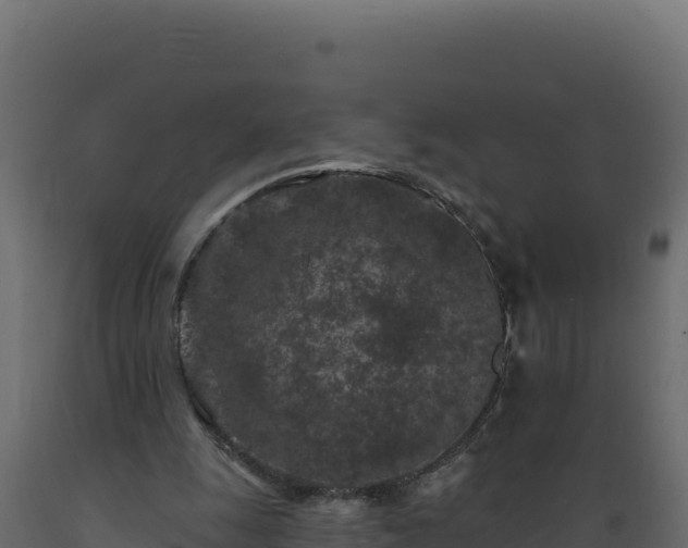 X0000089940247200707061106