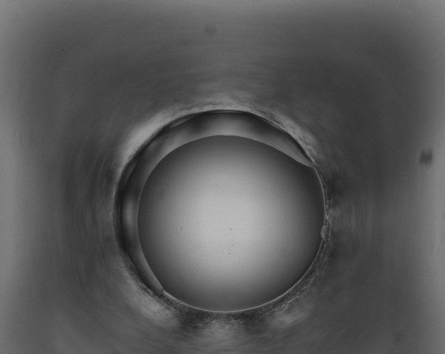 X0000089940248200707061106