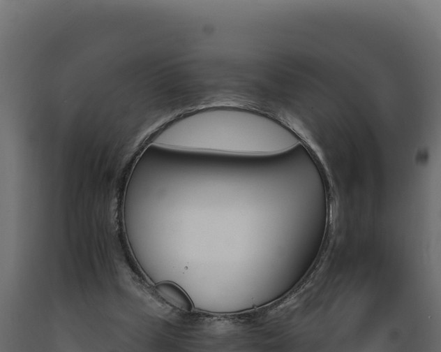 X0000089940249200707061106