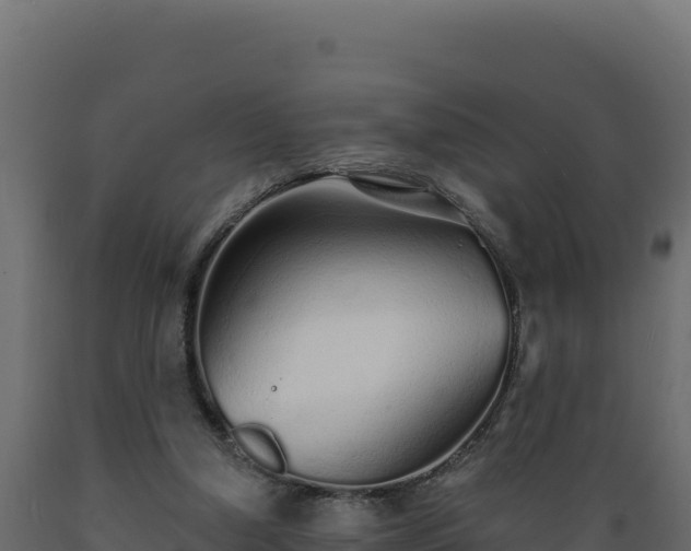 X0000089940250200707061106