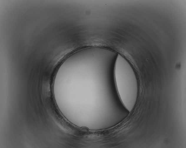 X0000089940251200707061106