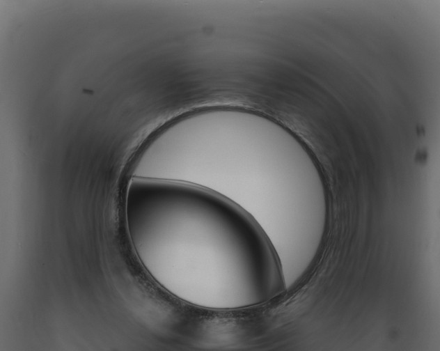 X0000089940252200707061106