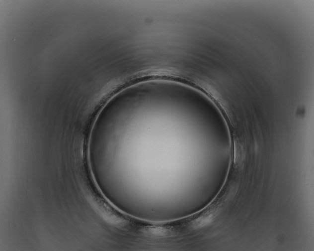 X0000089940253200707061106