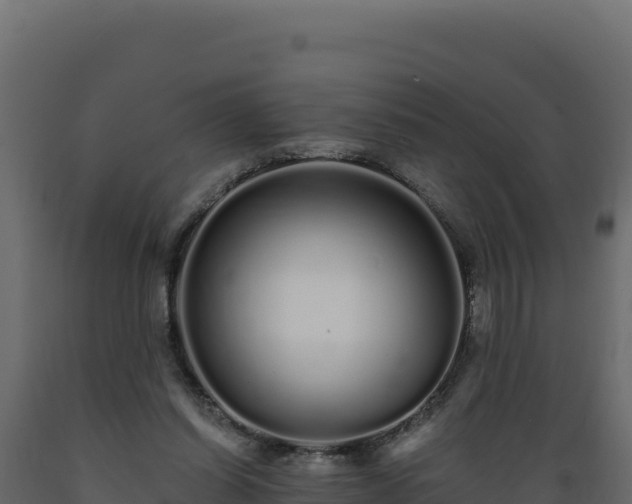 X0000089940254200707061106