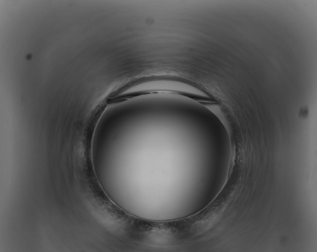 X0000089940256200707061106