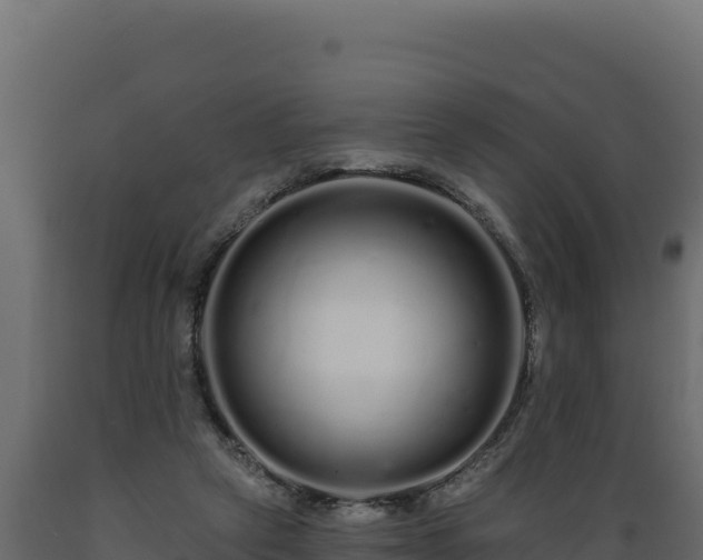 X0000089940257200707061106