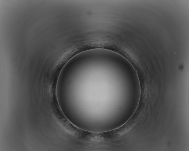 X0000089940258200707061106