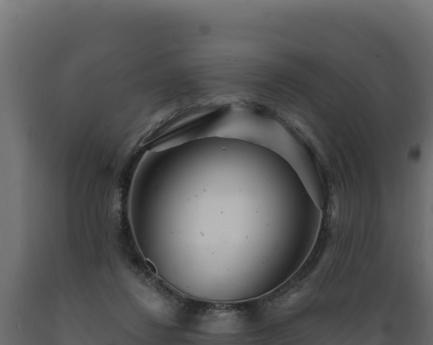 X0000089940260200707061106