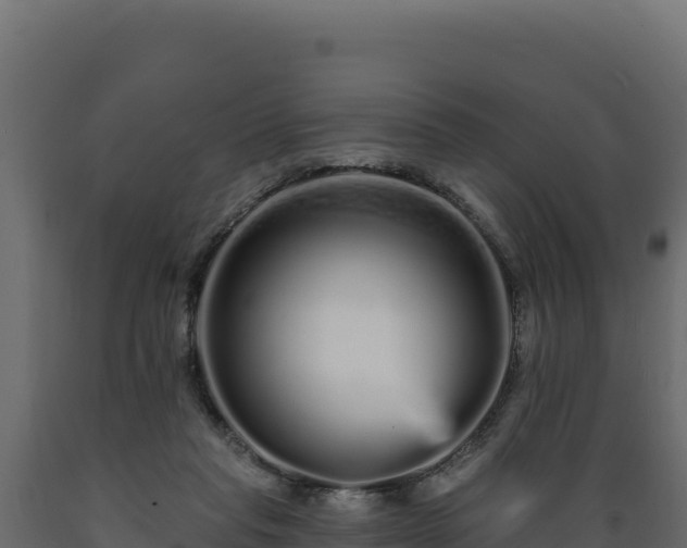 X0000089940261200707061106