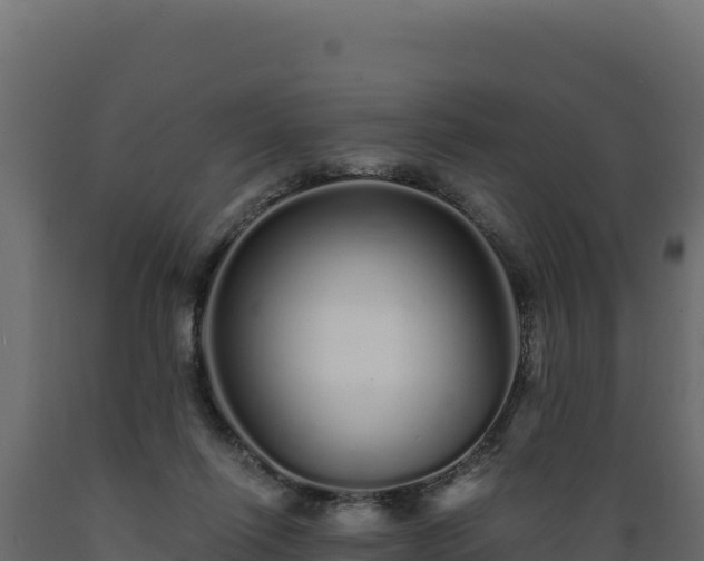 X0000089940262200707061106