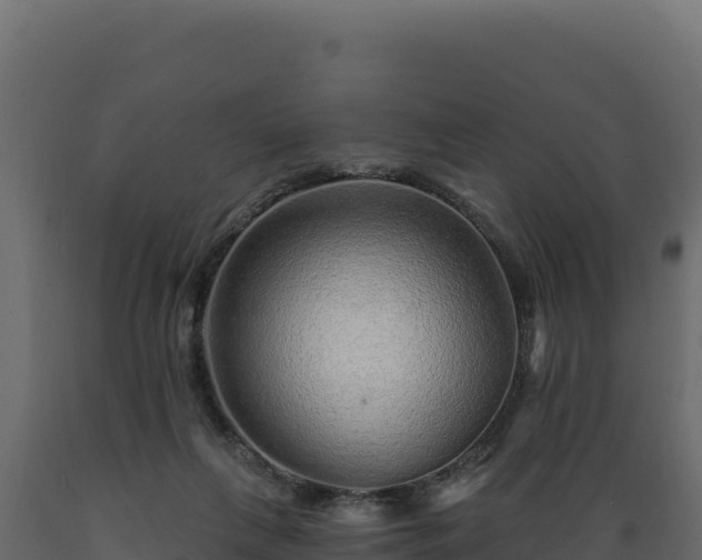 X0000089940263200707061106