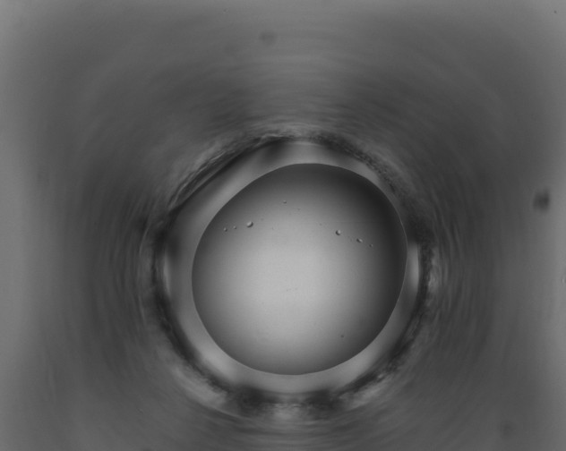 X0000089940264200707061106