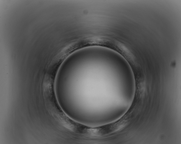 X0000089940265200707061106