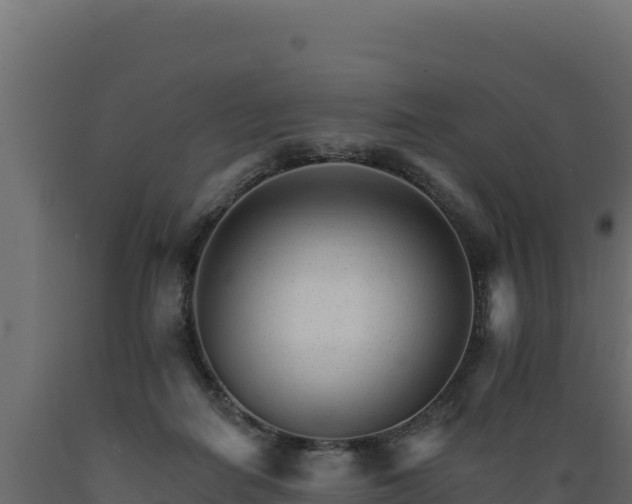 X0000089940266200707061106