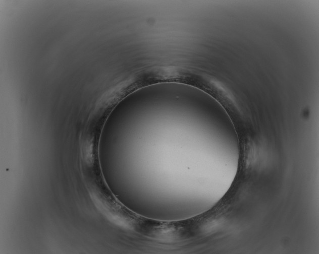 X0000089940267200707061106