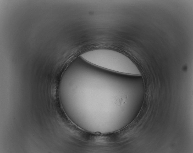 X0000089940268200707061106