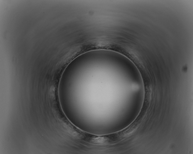 X0000089940269200707061106