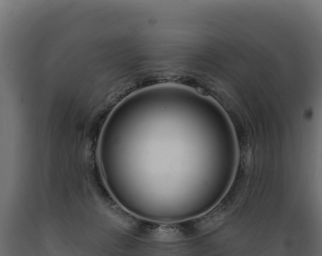 X0000089940270200707061106