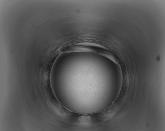 X0000089940271200707061106